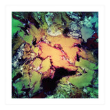 Bathe (Print Only) thumbnail