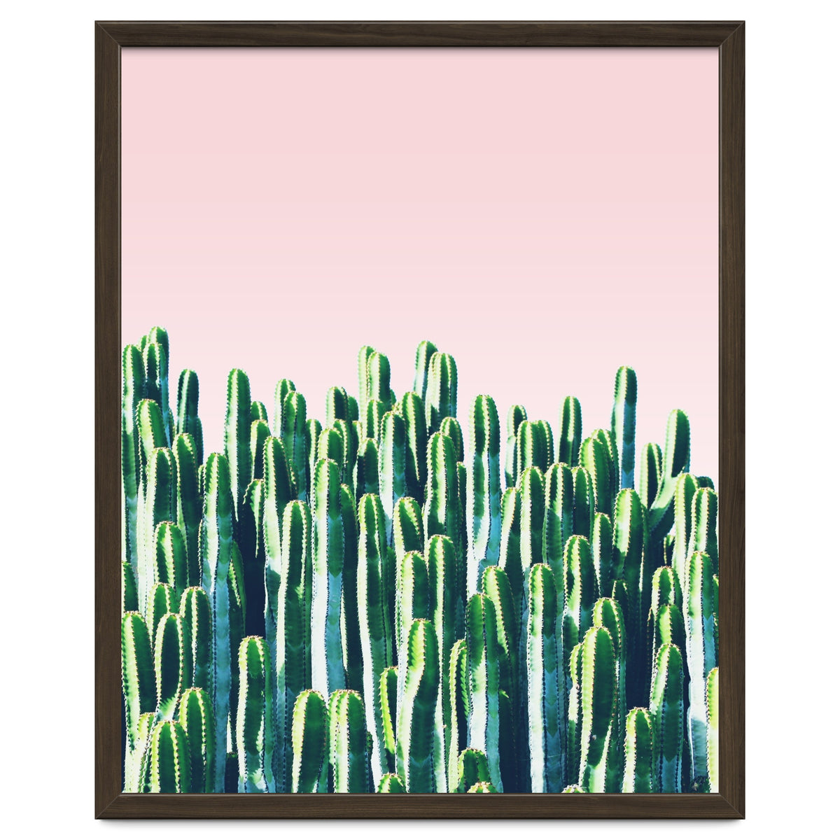 Cactus & Sunset I