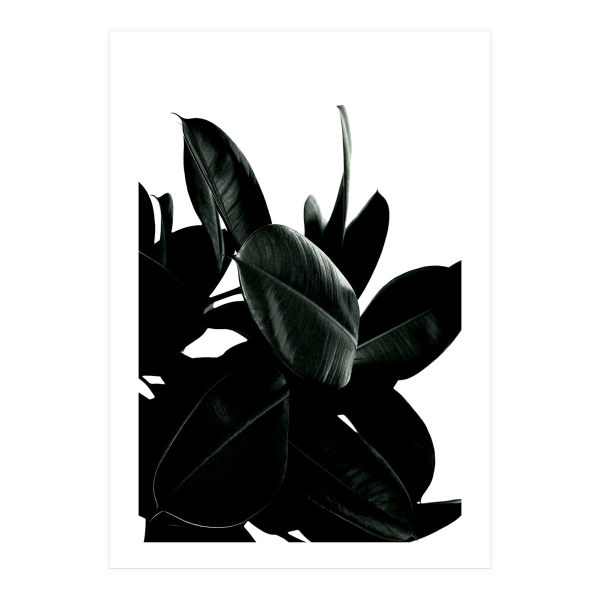 Dark Tree (Print Only)