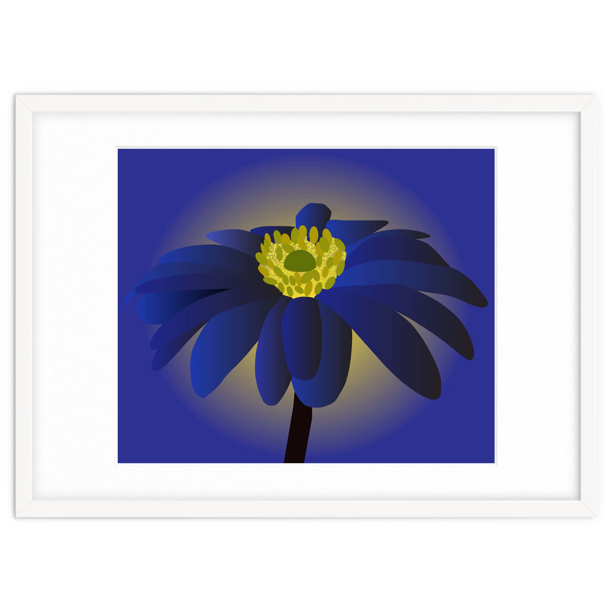 Anemone Blanda Flower Art