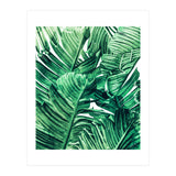 Tropical State of Mind | Watercolor Palm Banana Leaves Painting | Botanical Jungle Bohemian Plants (Print Only) thumbnail