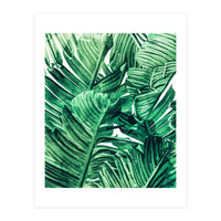 Tropical State of Mind | Watercolor Palm Banana Leaves Painting | Botanical Jungle Bohemian Plants (Print Only)
