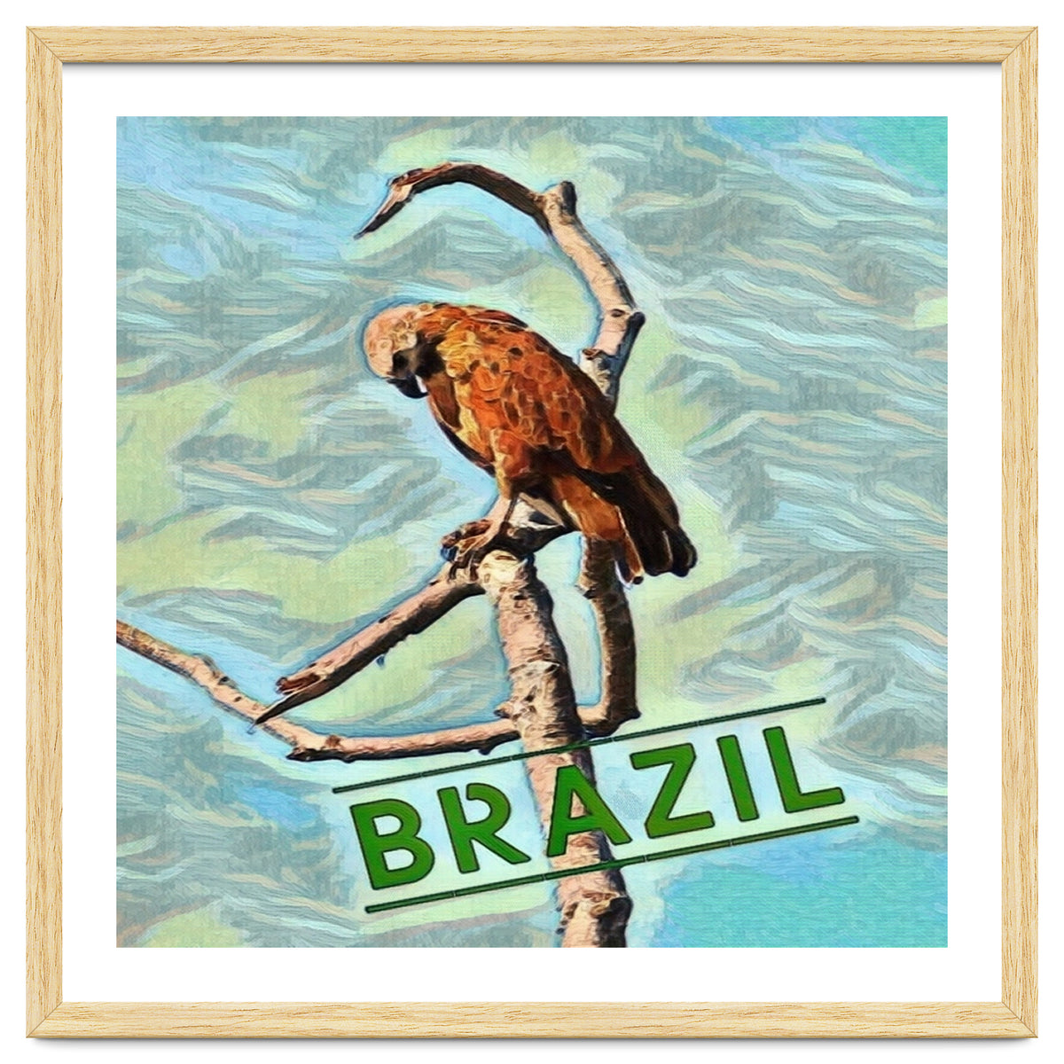Brazilian resting Eagle