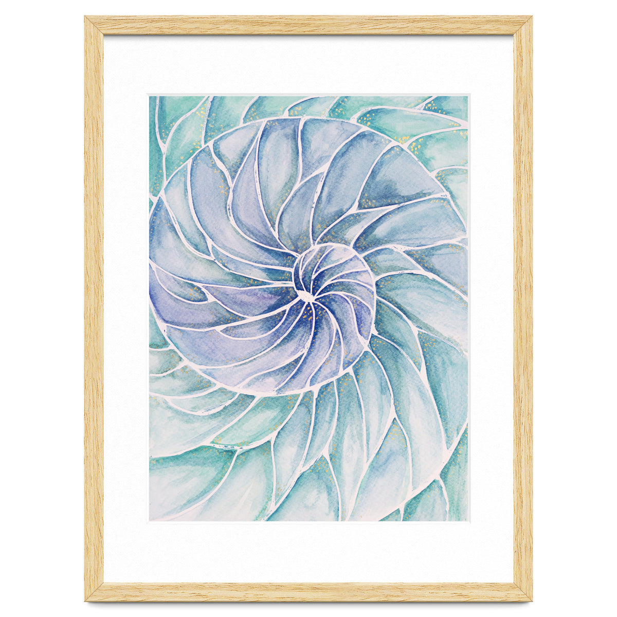 The inside of a shell