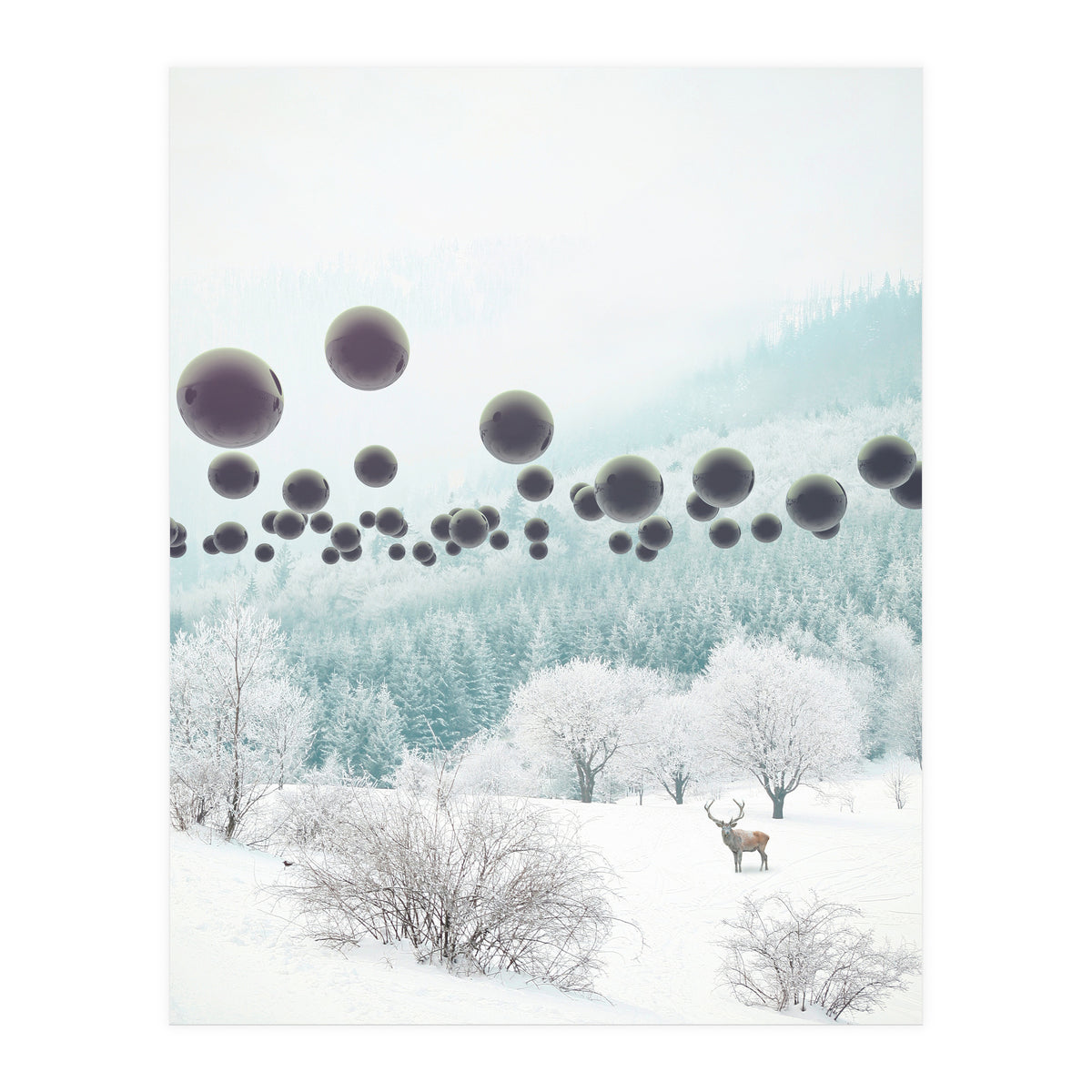 Forest Phantom (Print Only)