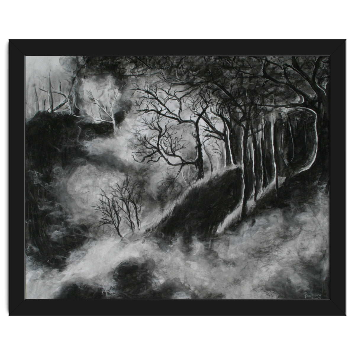 Black and White Forest in Clouds