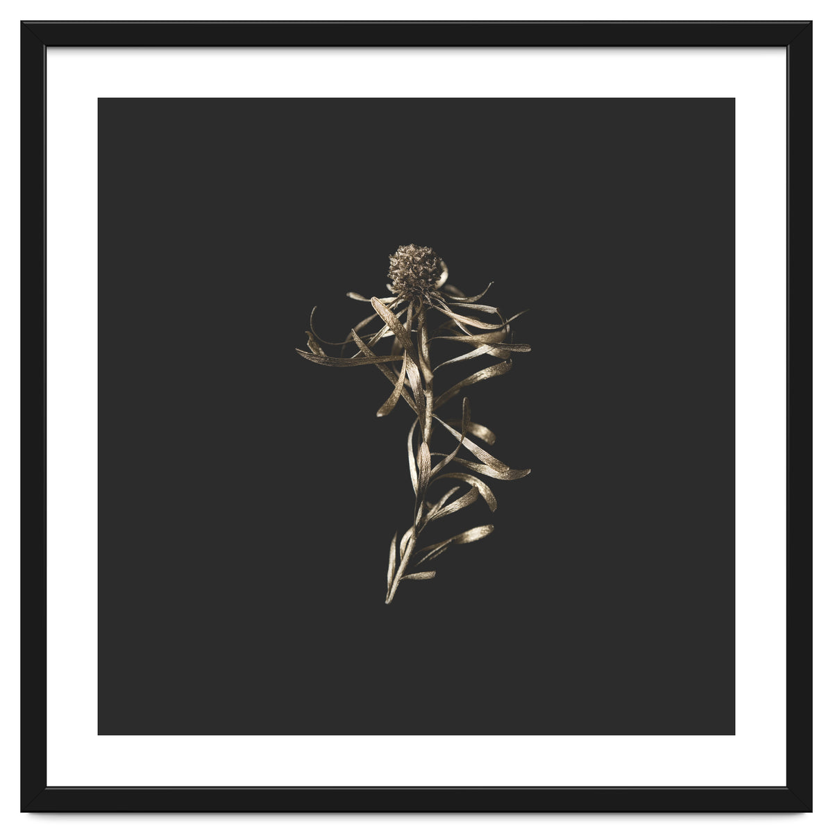 Magical Golden Fynbos - Square