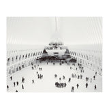 Oculus (Print Only) thumbnail