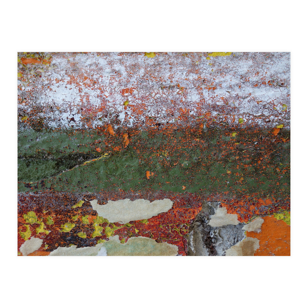 North South (Print Only)