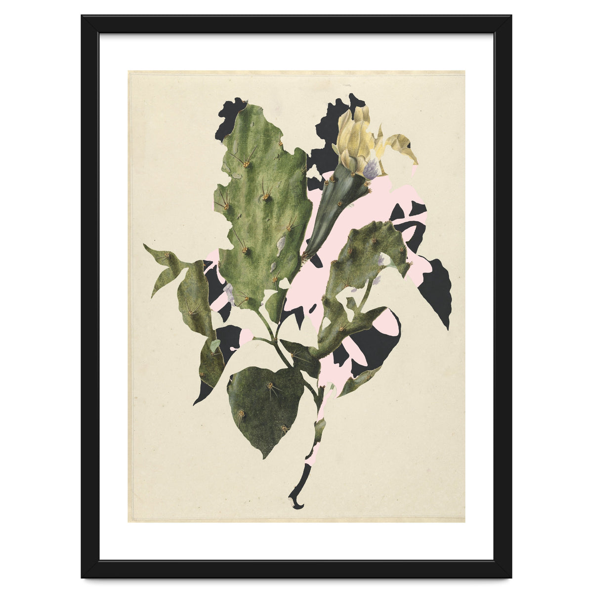 The First Plant · E3