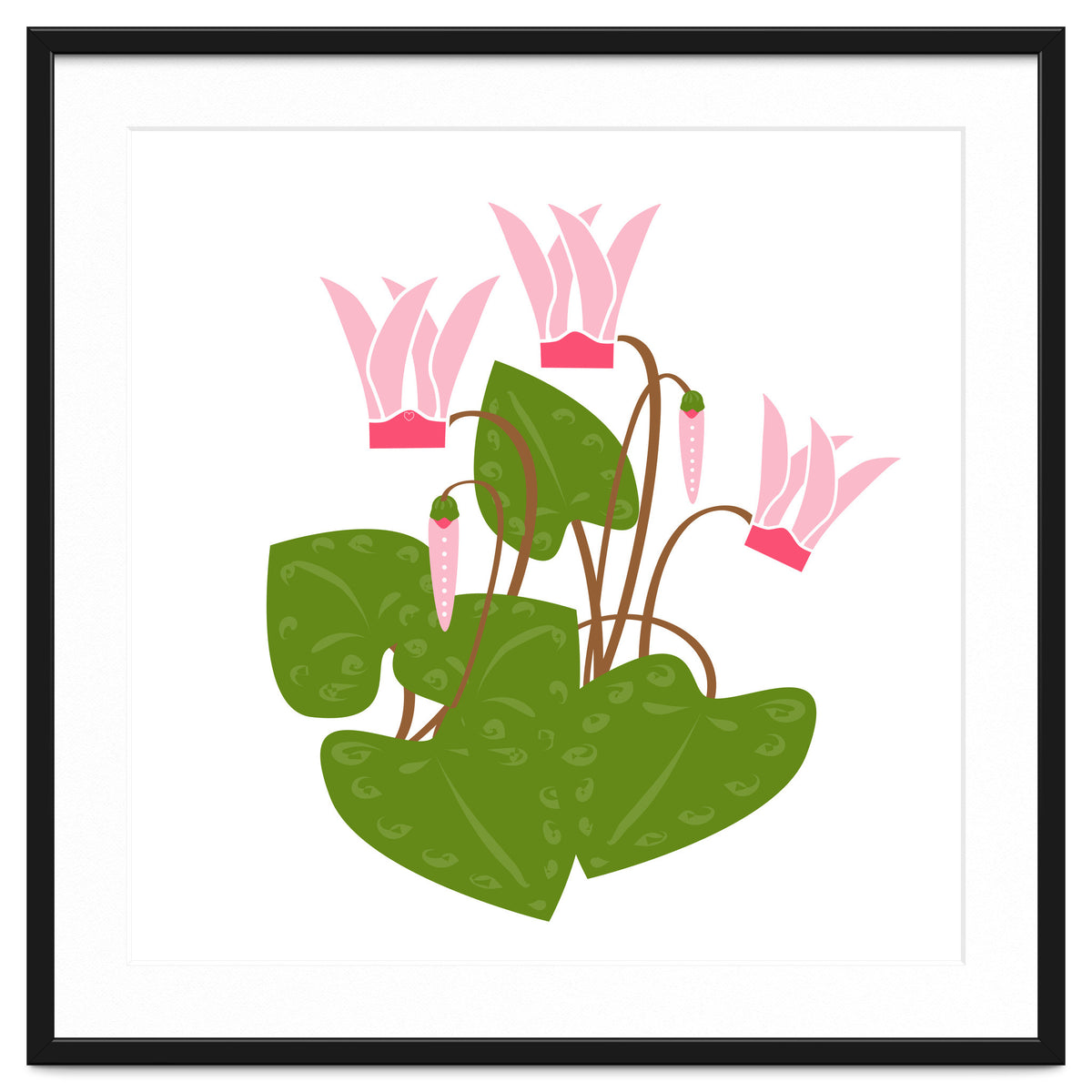 Cascading Cyclamen