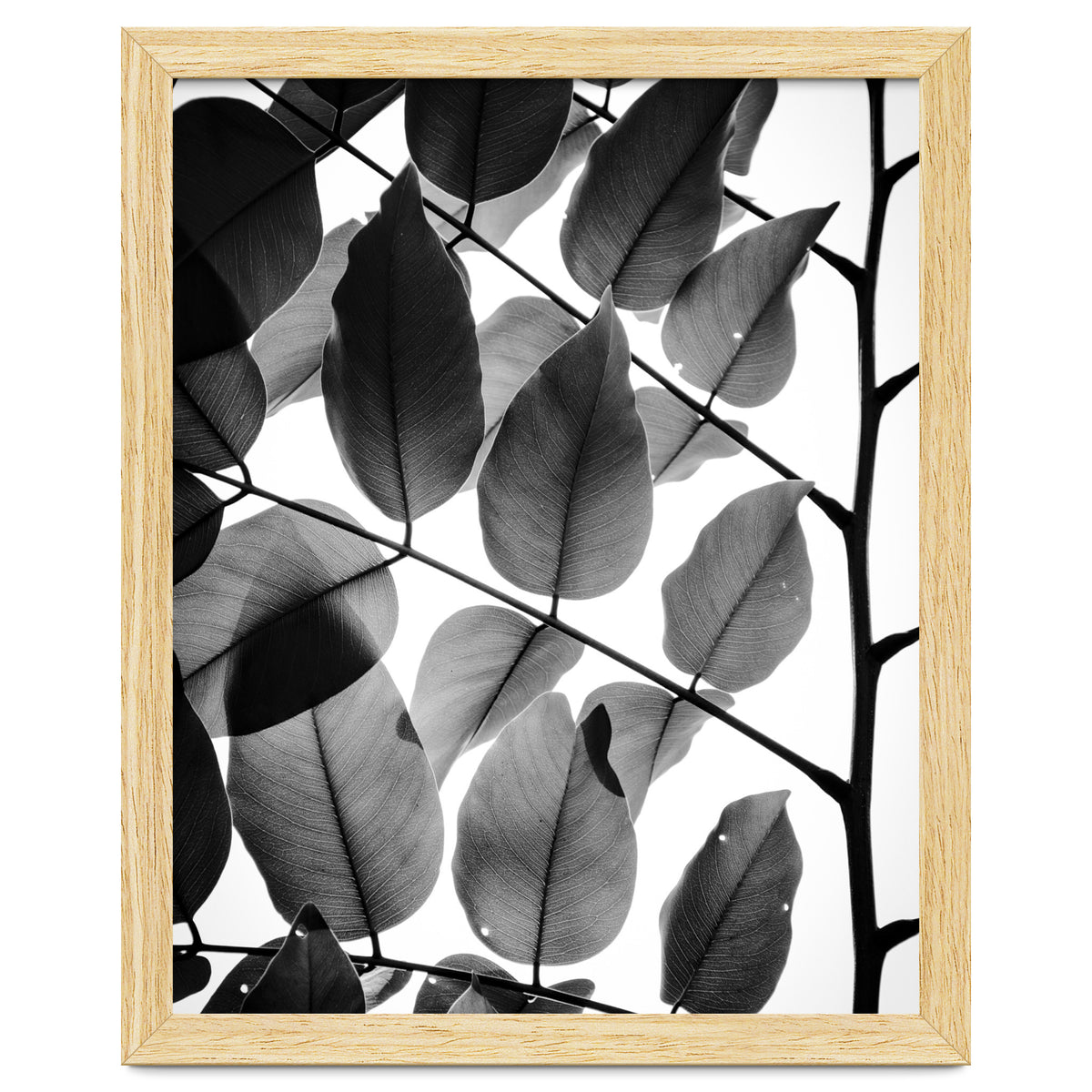 Branches and Leaves II