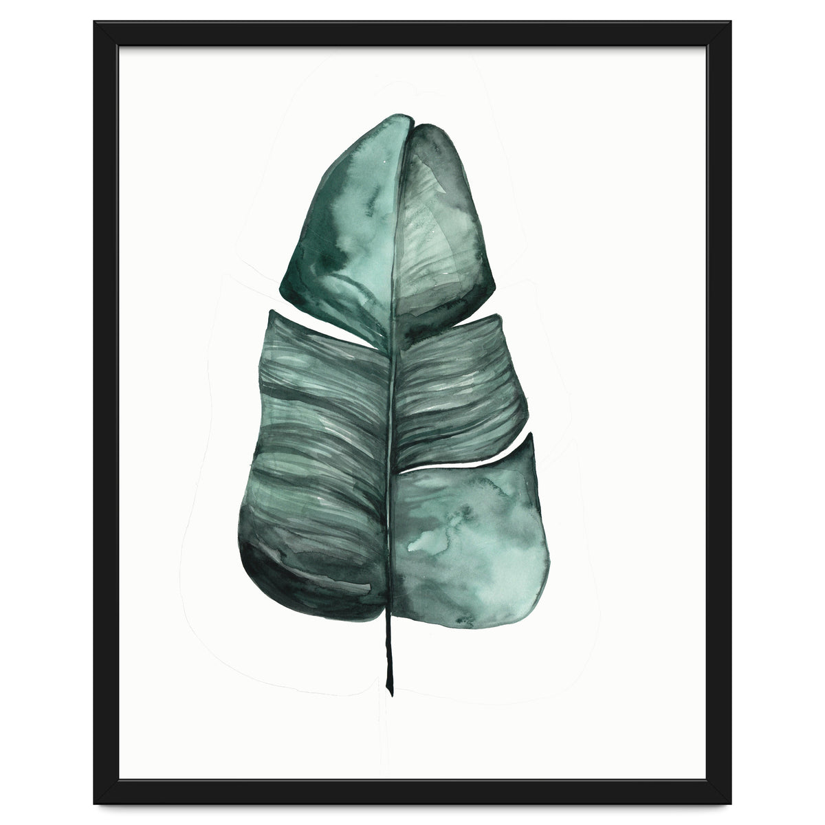 Botanical Illustration Banana Leaf