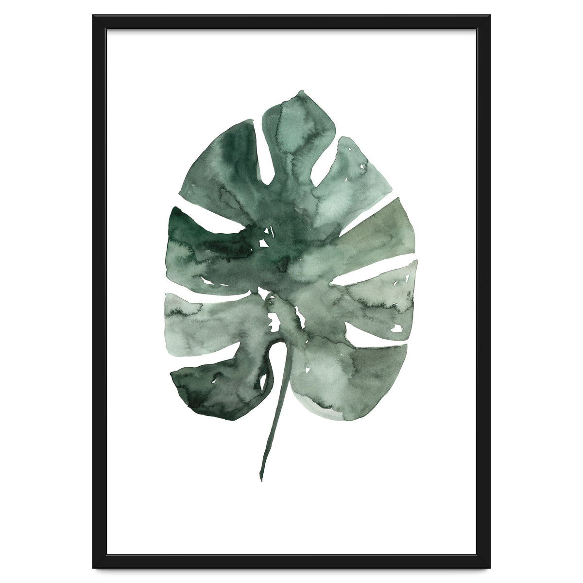 Botanical Illustration Monstera Leaf