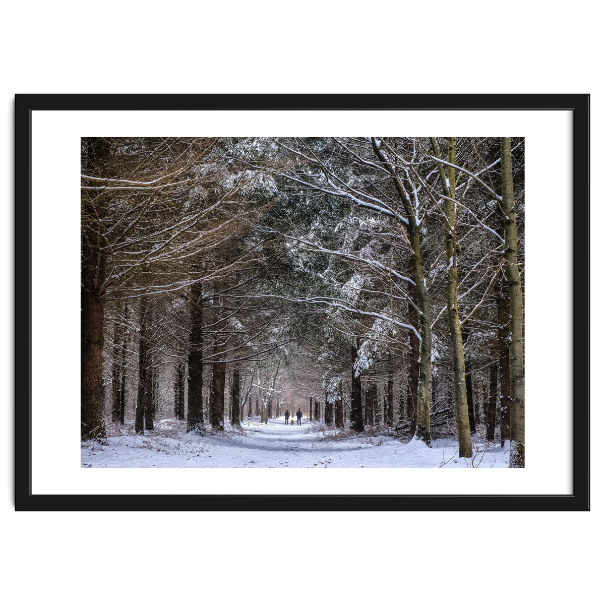 Dog Walkers in the Snow.  Heath Warren - Hampshire