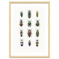 Cc Insects 03