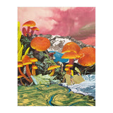 Mushroom Valley (Print Only) thumbnail