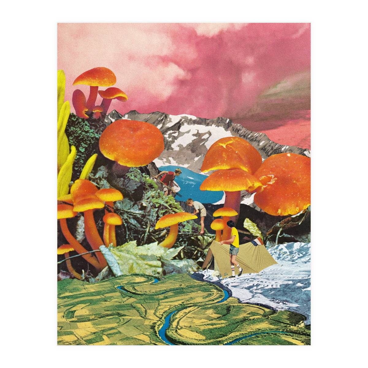 Mushroom Valley (Print Only)