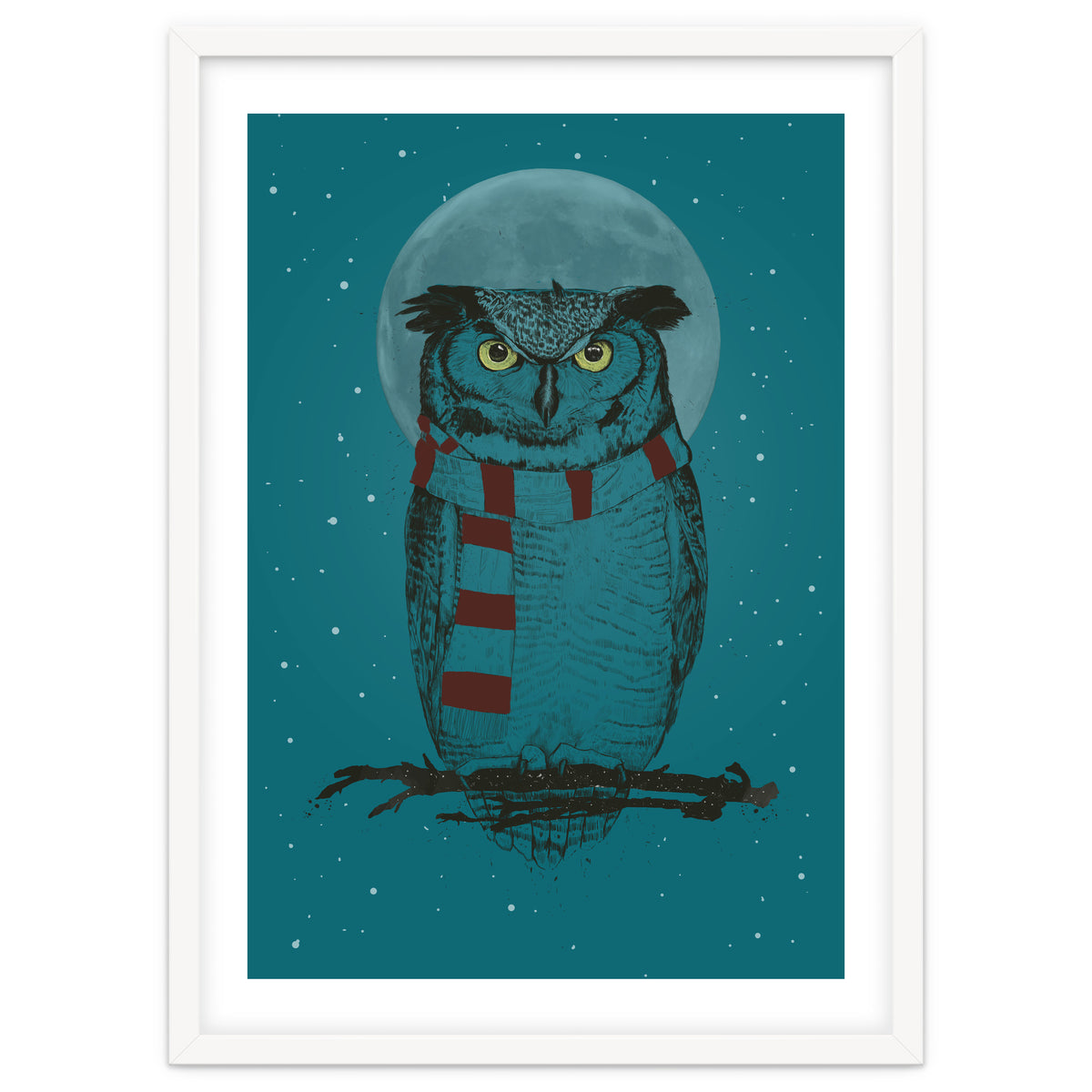 Winter Owl II