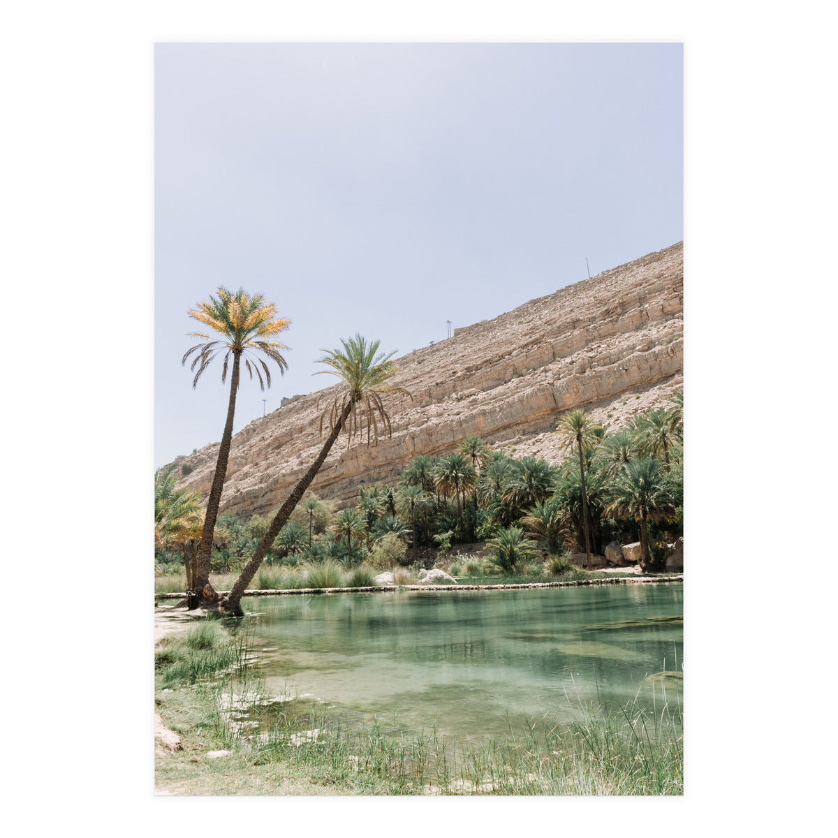 Tropical Oasis Portrait (Print Only)