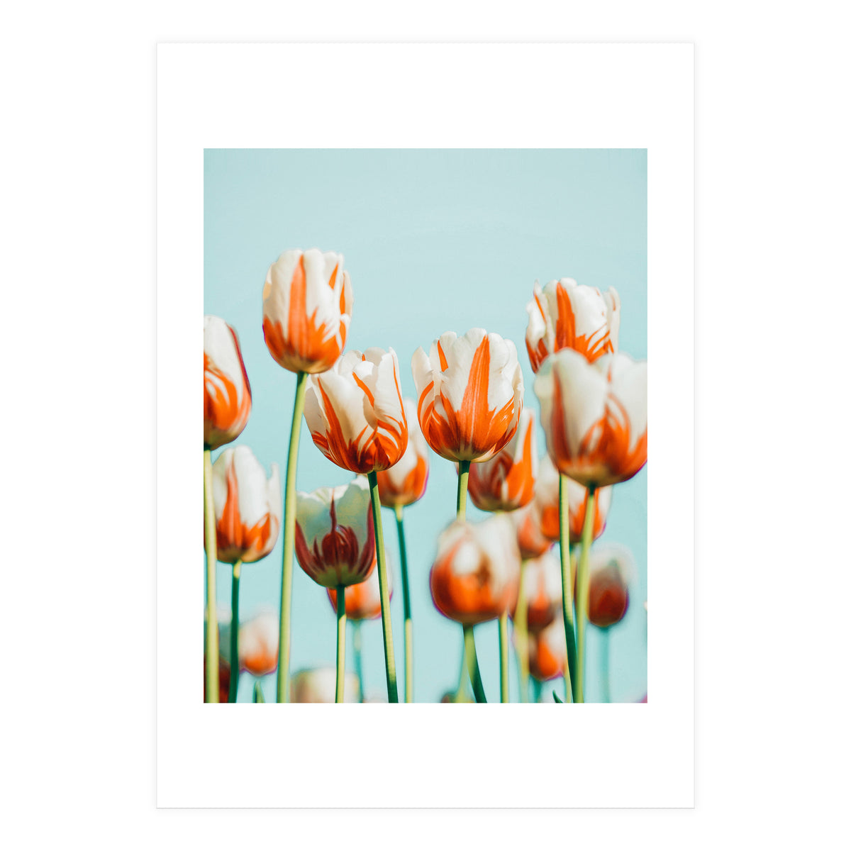 Estelle (Print Only)