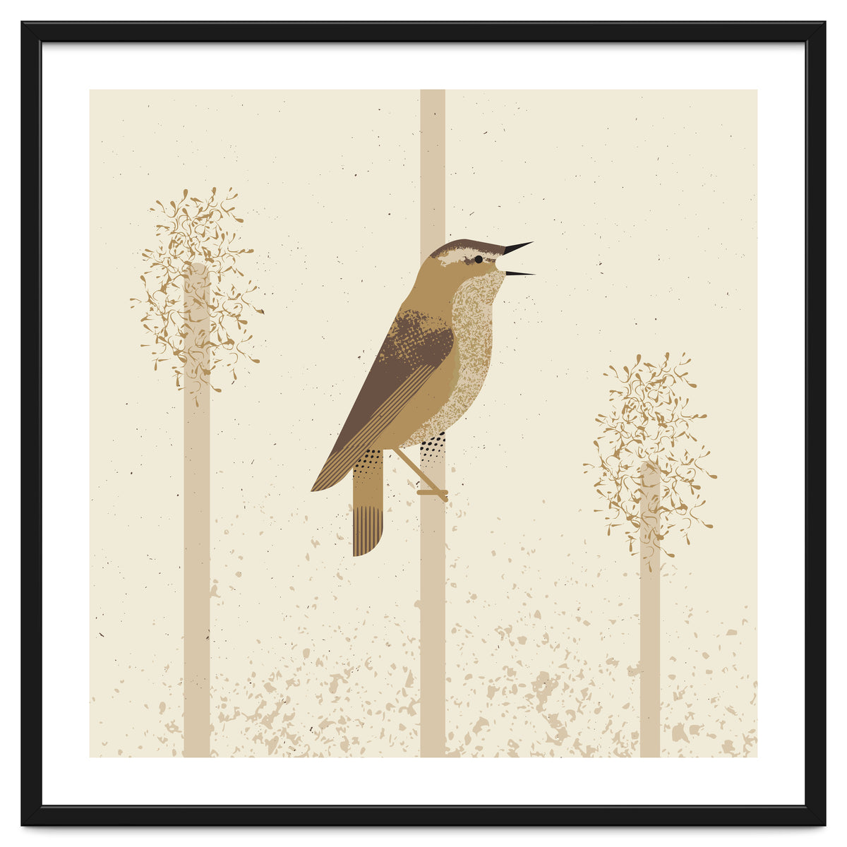 Sedge Warbler