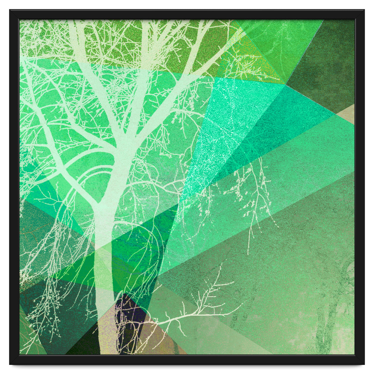 P22-B3 Trees And Triangles