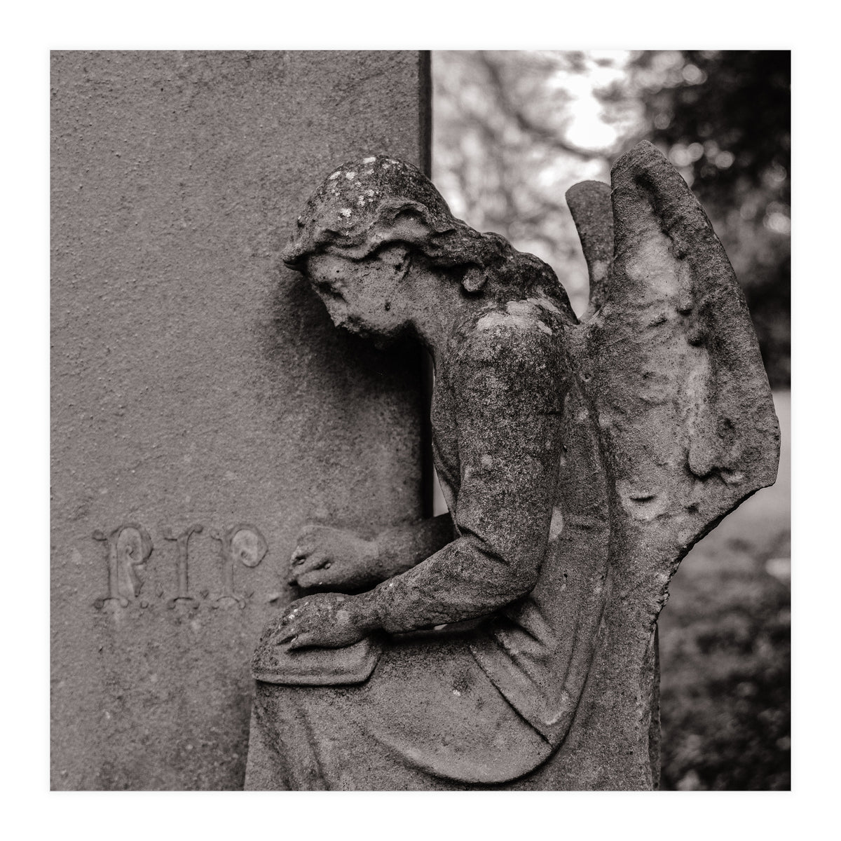 Rest in Peace (Print Only)