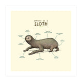 Anatomy Of A Sloth (Print Only) thumbnail