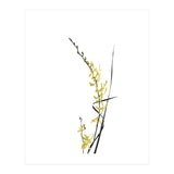 Flower Minimal Black And Gold 06 (Print Only) thumbnail