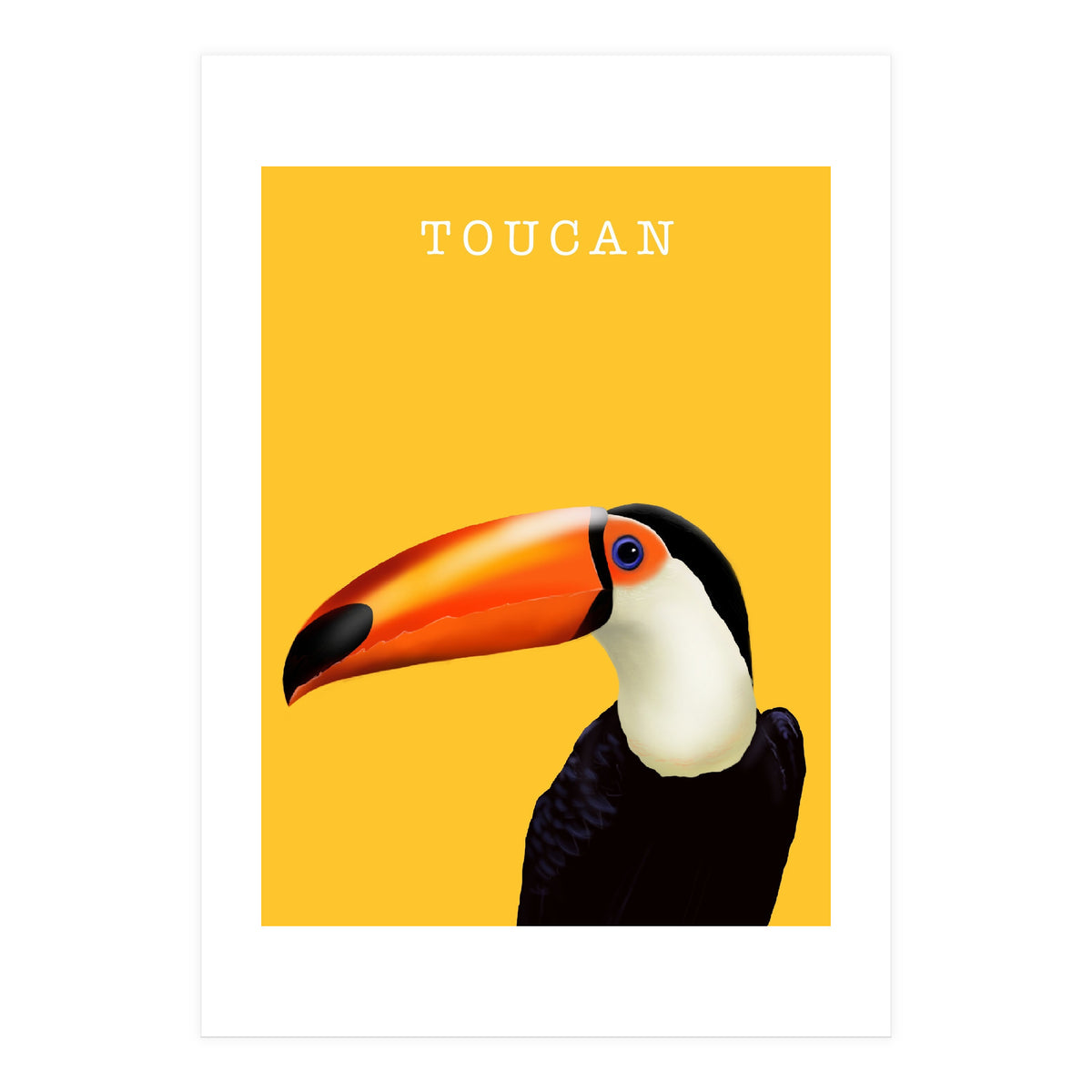 Toucan (Print Only)