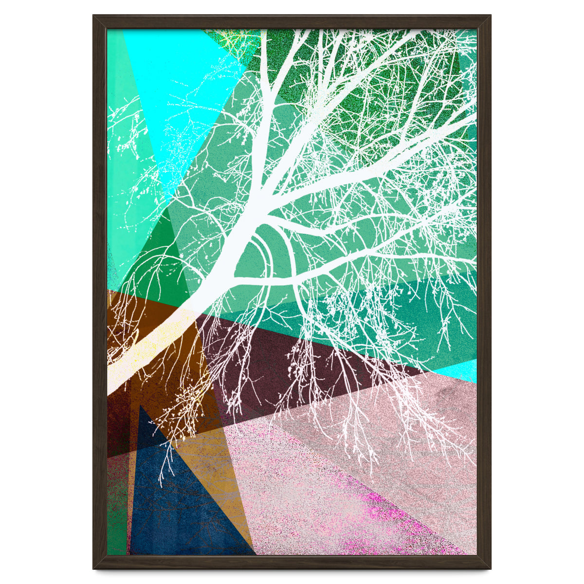 P16-H Trees And Triangles