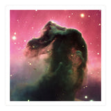 The Horsehead Nebula (Print Only) thumbnail