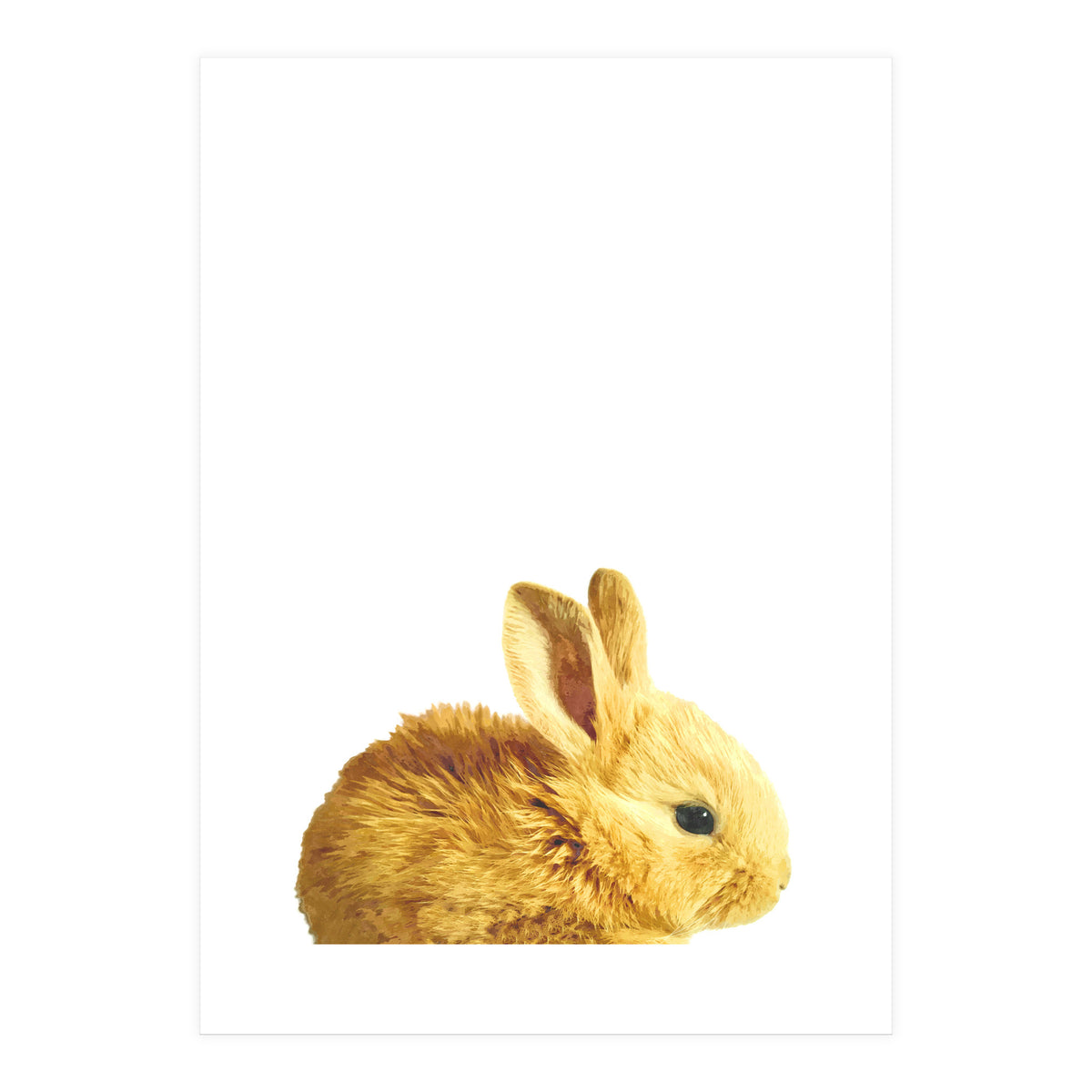 Bunny Portrait (Print Only)