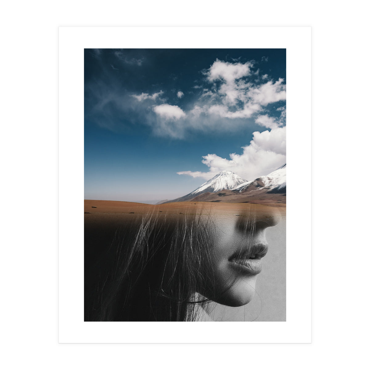 Dream Division 5 (Print Only)