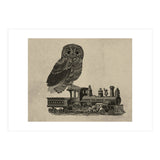 civetta (Print Only) thumbnail