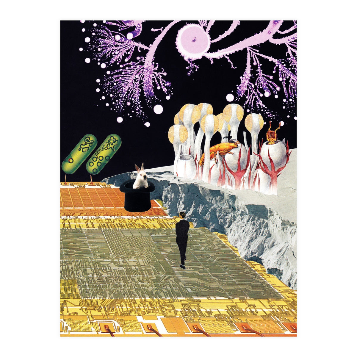 Teleport (Print Only)