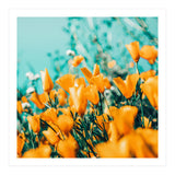 Nyla (Print Only) thumbnail