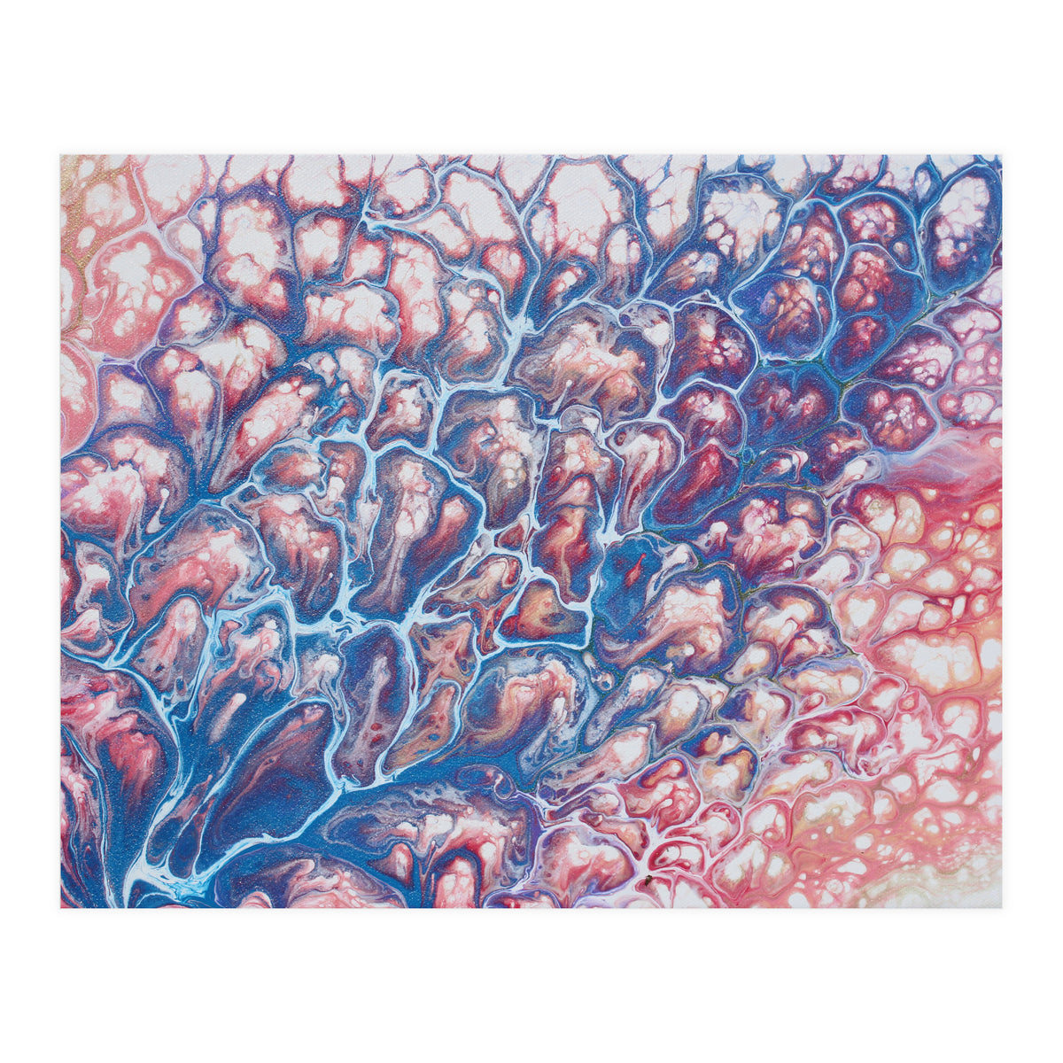 Coral Sea (Print Only)