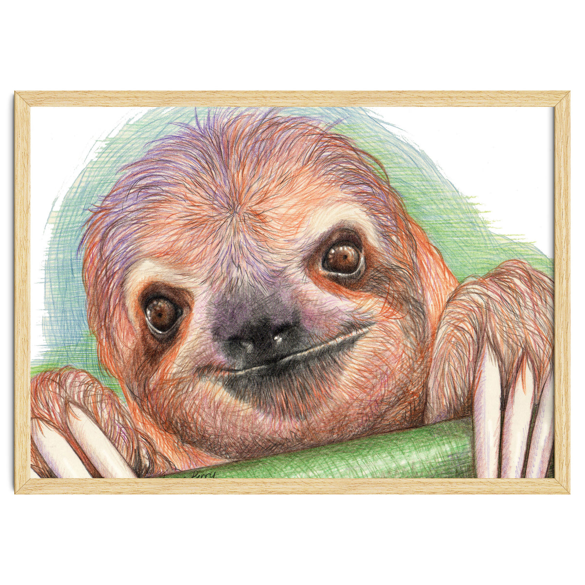 Smiling Sloth