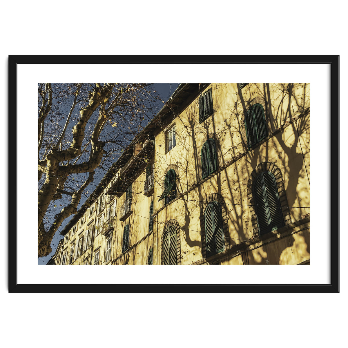 Windows From Tuscany 3