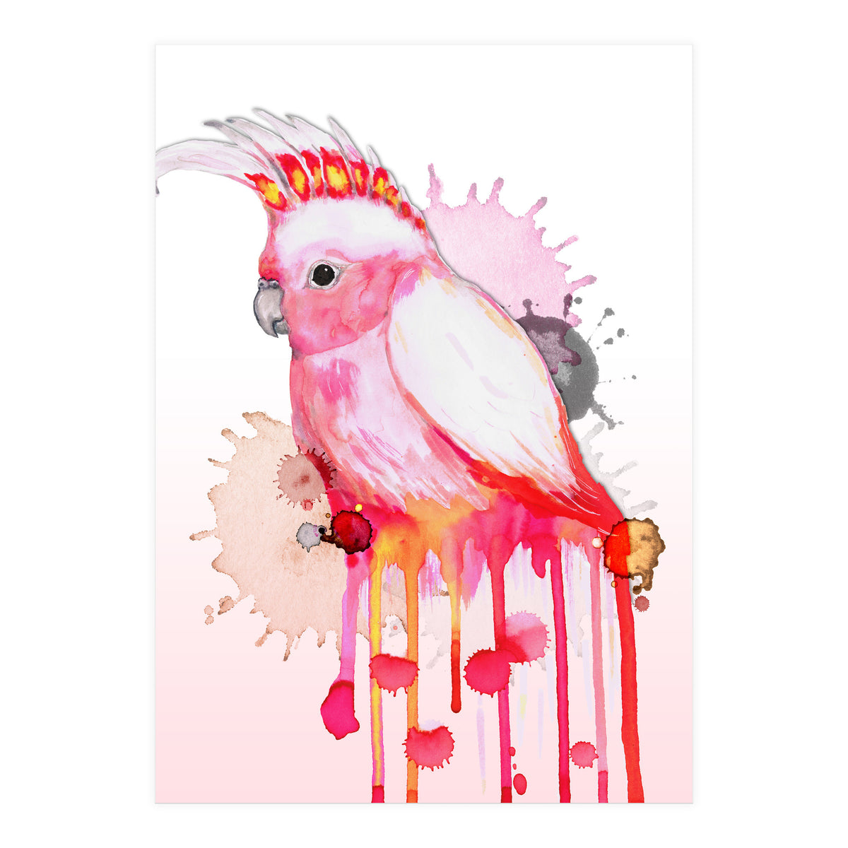 Major Mitchell's cockatoo (Print Only)