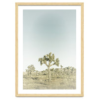 Vintage Joshua Tree