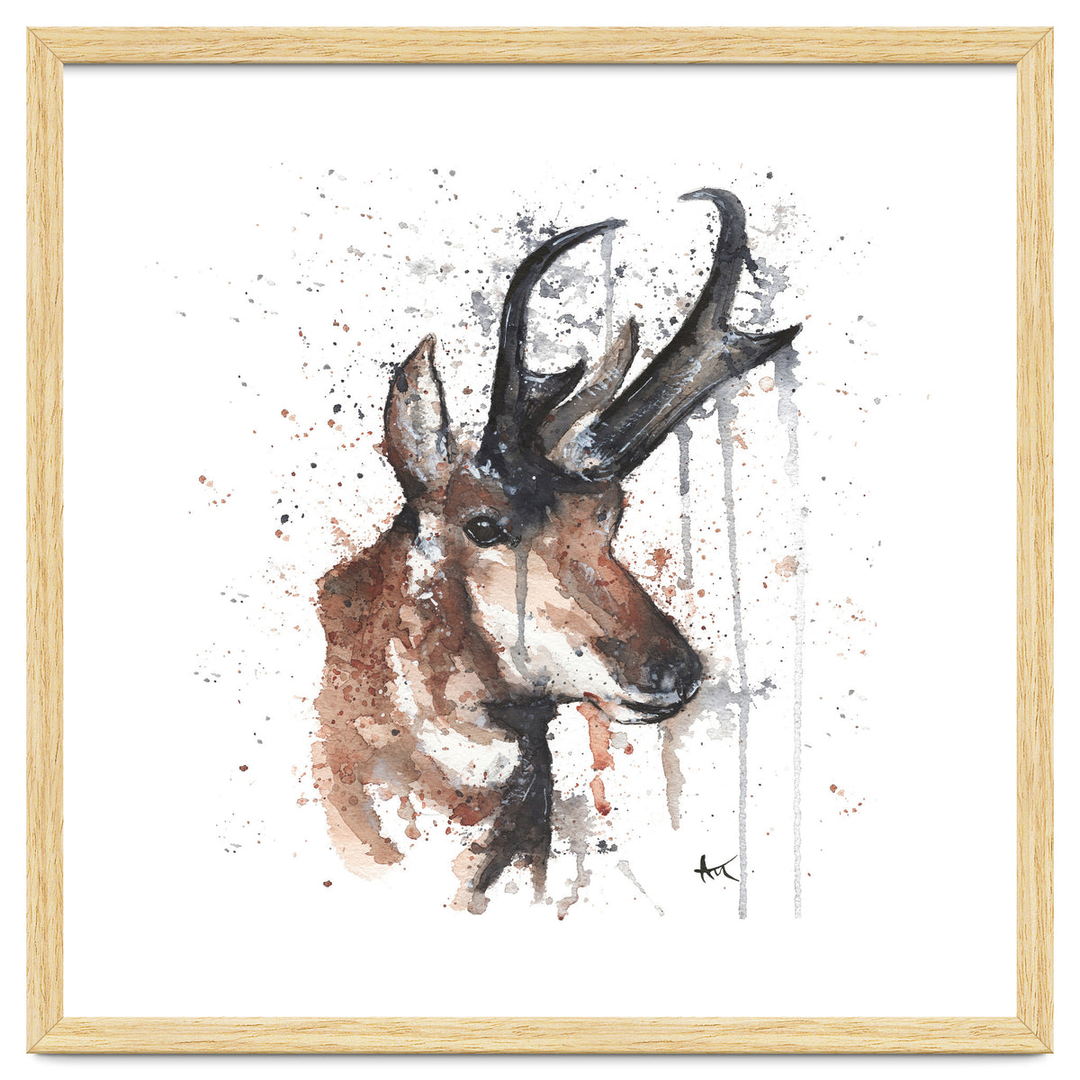 Red deer - Wildlife Collection