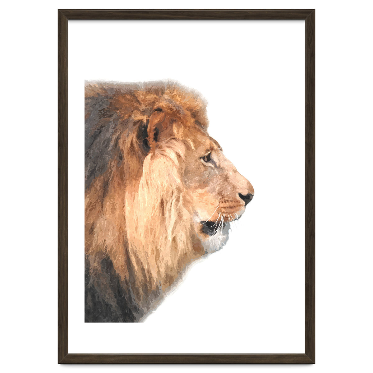 Lion Profile