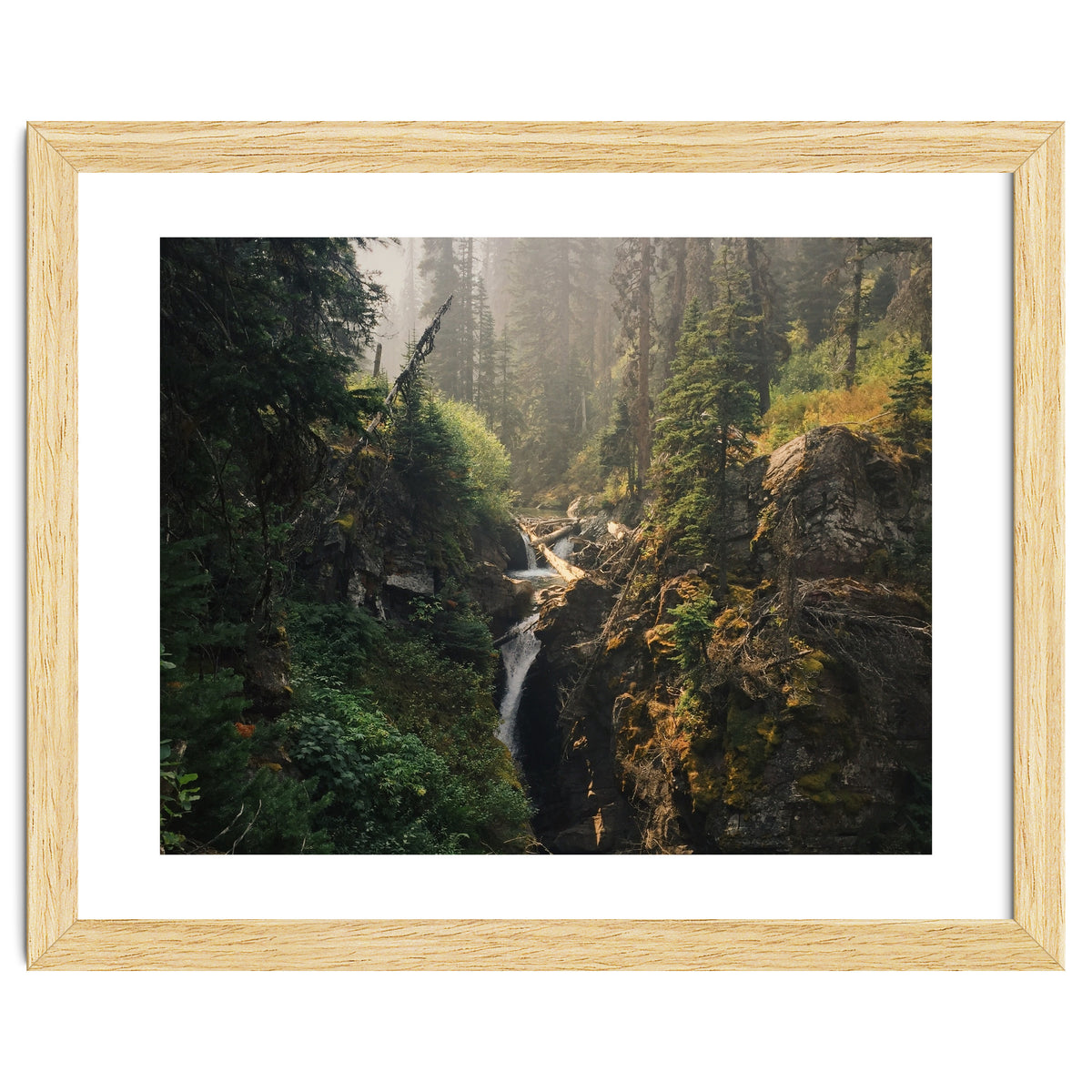 Glacier National Park I