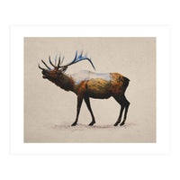 The Rocky Mountain Elk (Print Only)