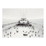 Oculus (Print Only) thumbnail