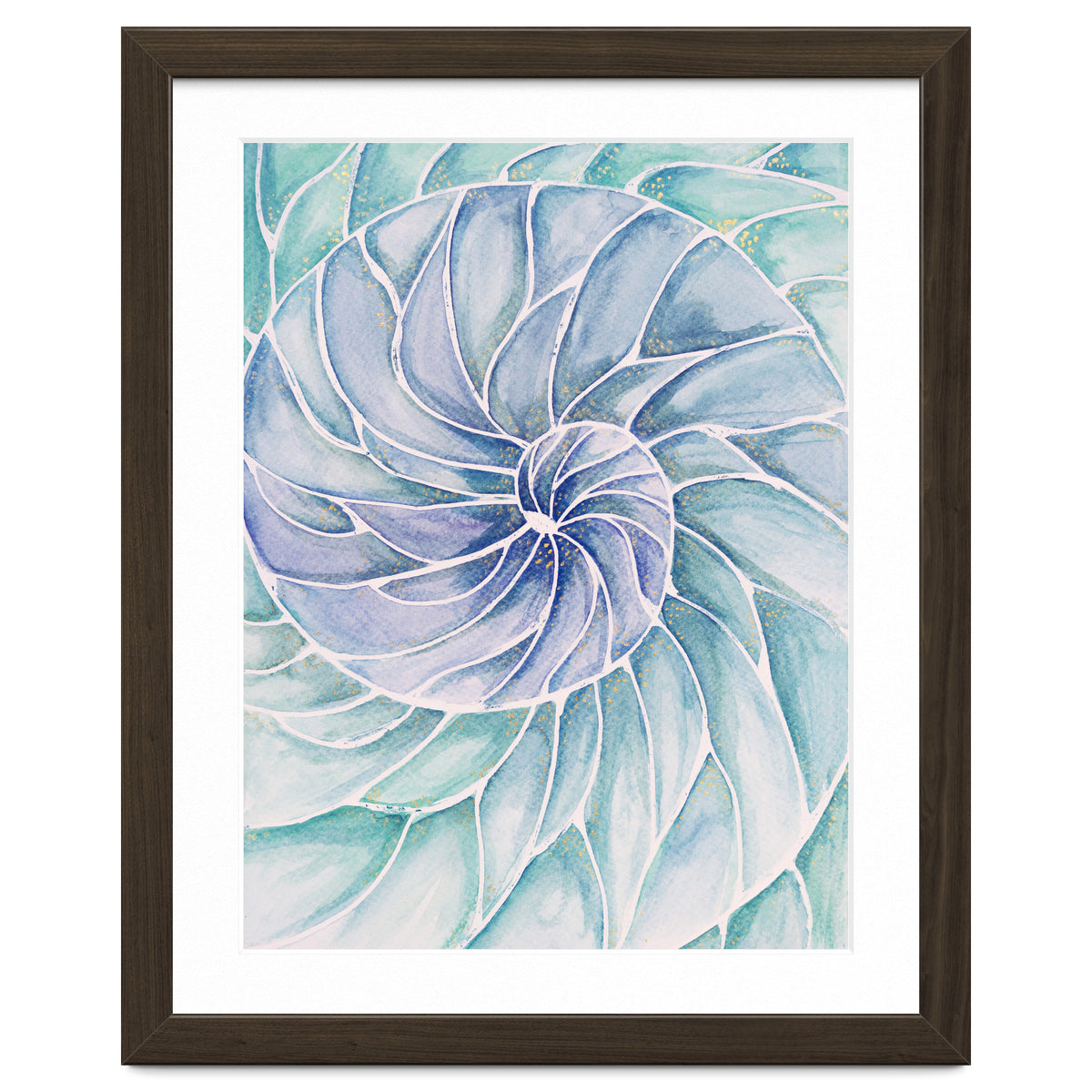 The inside of a shell