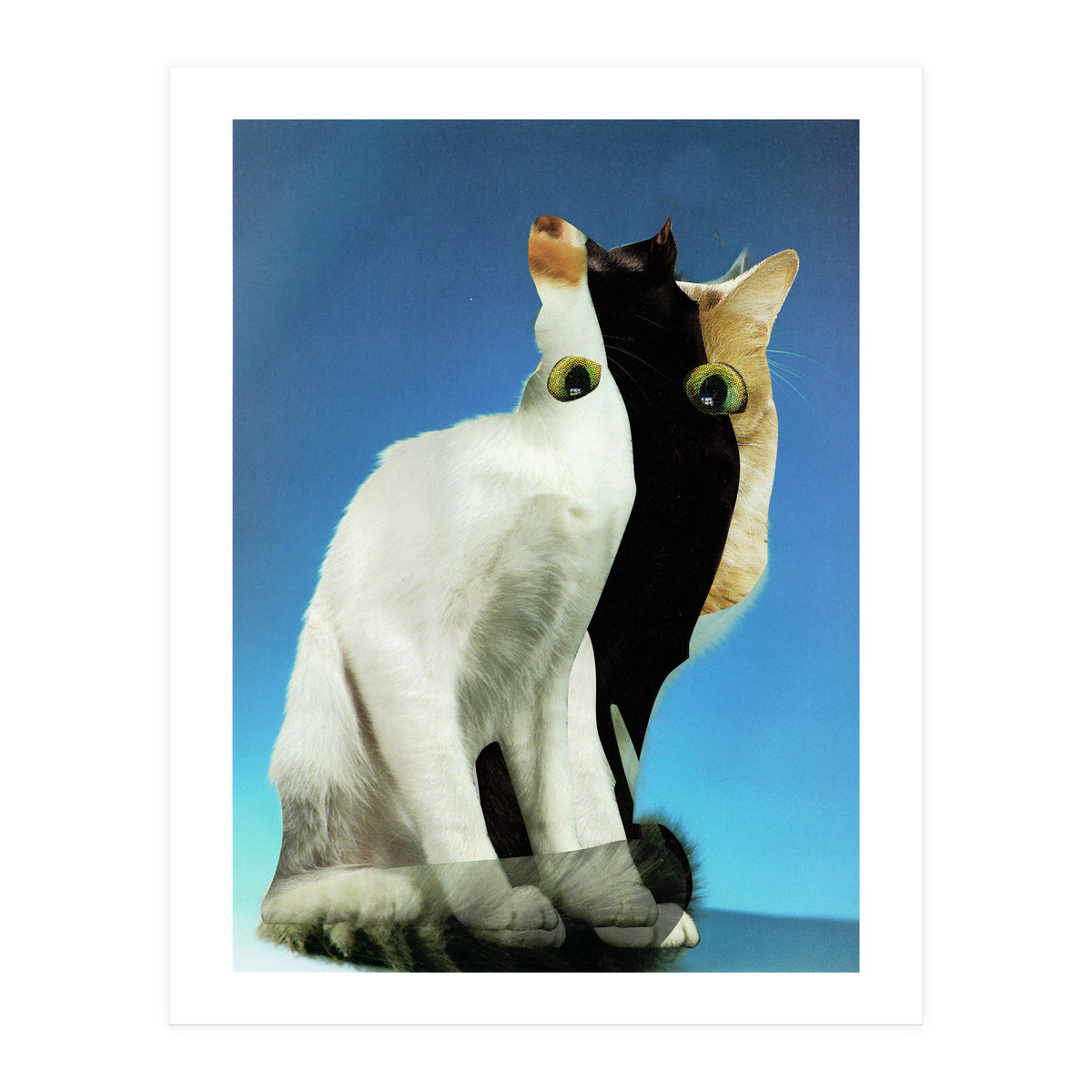 KatzenJammer 13 (Print Only)